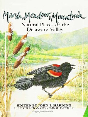 cover image of Marsh Meadow Mountain